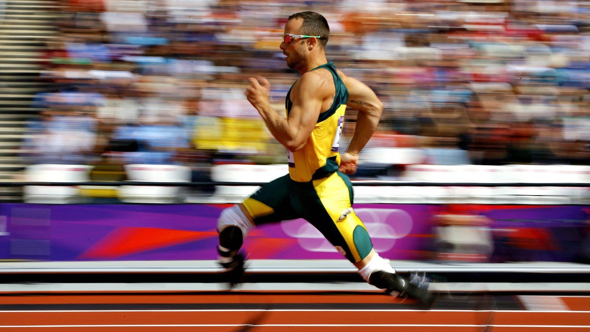 现场裁判的故事：坚持公平的守护者，现场裁判的故事_坚持公平的守护者是什么